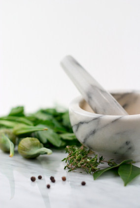 herbal botanical healing salves